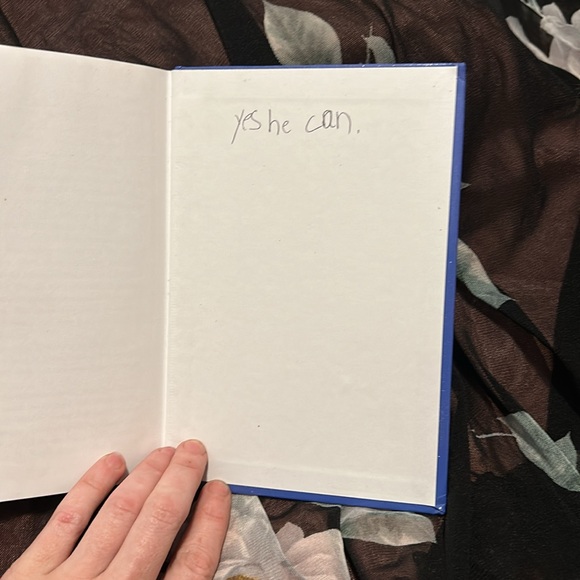 the BLACK STALLION hardback novel young adult books literature Walter Farley - Picture 4 of 5